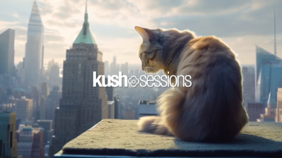 /pim/sabbatical.ipng.nl/media/commit/0e6f2bbd8028c3c52b2ef9d0afcd7f31ccaaf8fb/static/img/headline/kushsessions-03.png