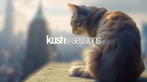 /pim/sabbatical.ipng.nl/media/commit/3d059cf8ebe334993d1f3eb8eb7357c7af6cd1e7/static/img/day4/kushsessions.png